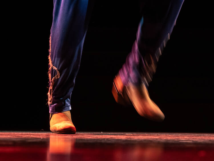 Ciutat Flamenco