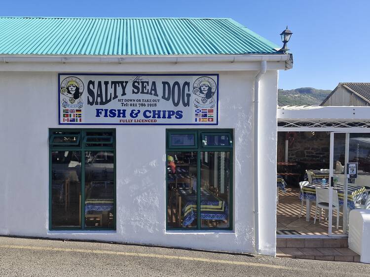 Salty Sea Dog
