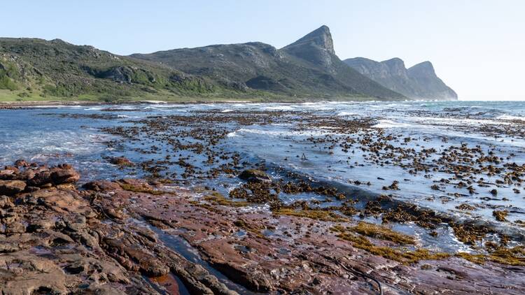 Cape Point Nature Reserve