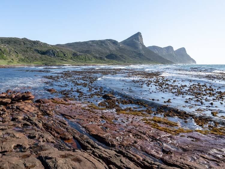 Cape Point Nature Reserve