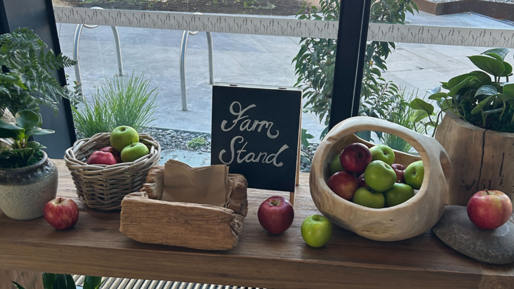 The fruit stand in the lobby of 1 Hotel Melbourne.