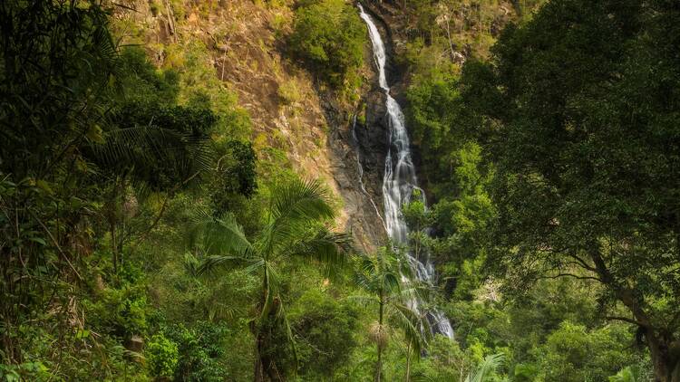 Waterfall in rainforest