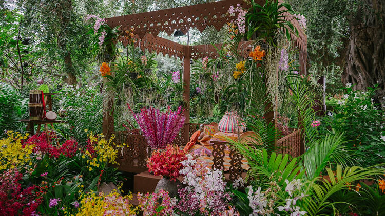 Truly Asia Orchids
