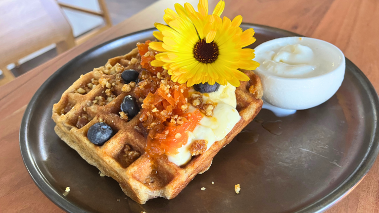 Waffles with blueberries and yellow flower