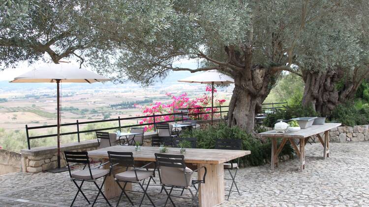Foto: Llorenç Julià | Finca Serena