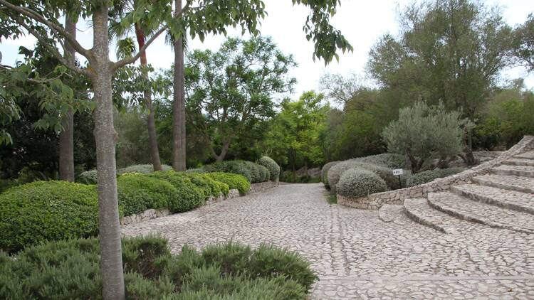 Foto: Llorenç Julià | Finca Serena