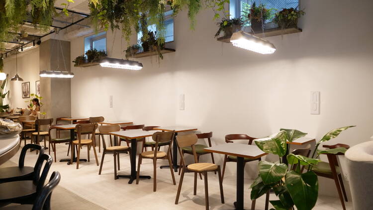 ズットモーニング