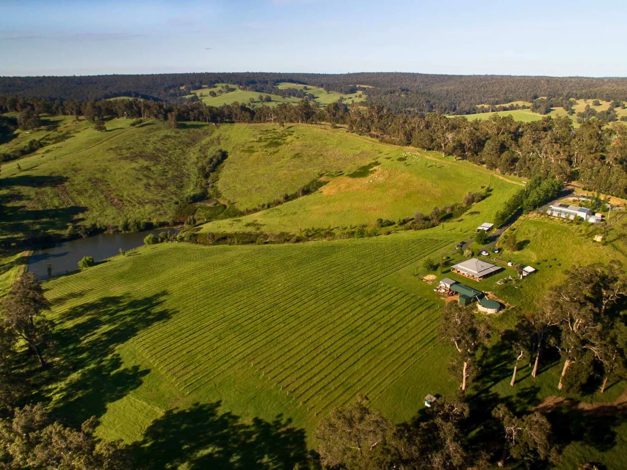 Aerial of vineyard