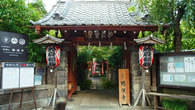 隆龍