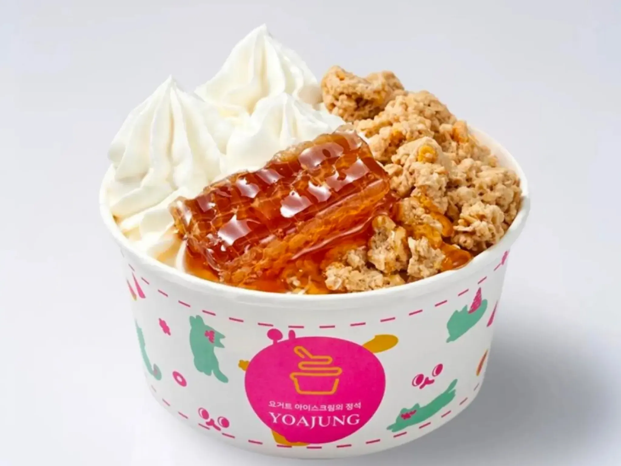Yoajung frozen yoghurt