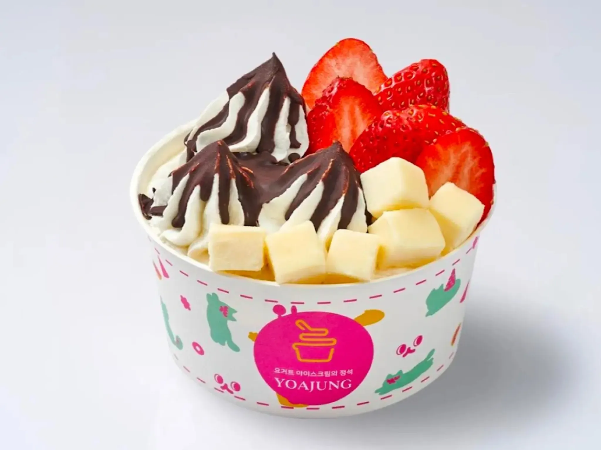 Yoajung frozen yoghurt