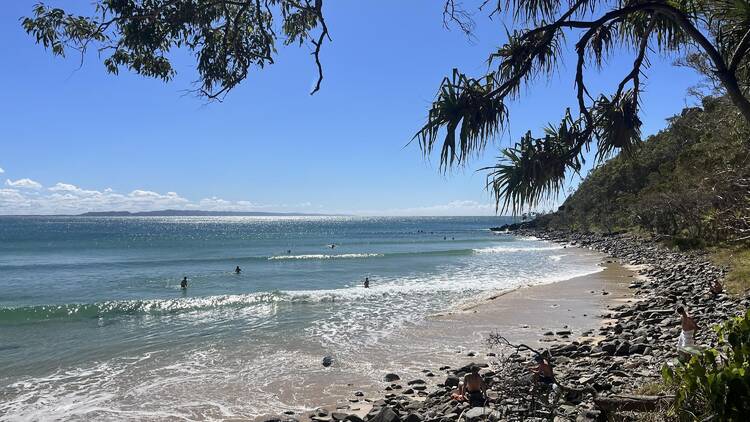Hike in Noosa National Park
