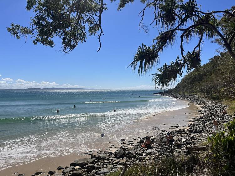 Hike in Noosa National Park