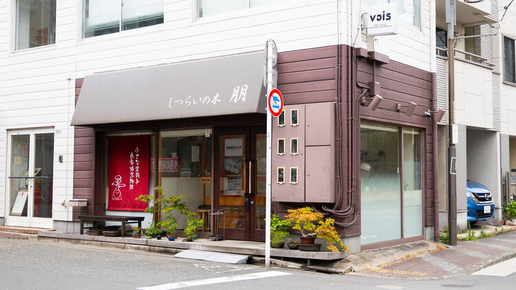 しつらいの木 朋