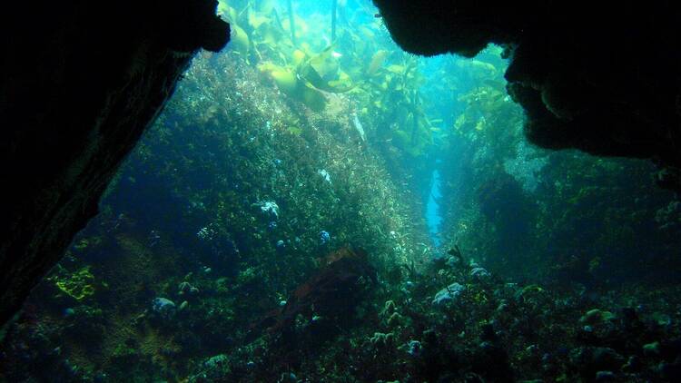 Justin’s Caves