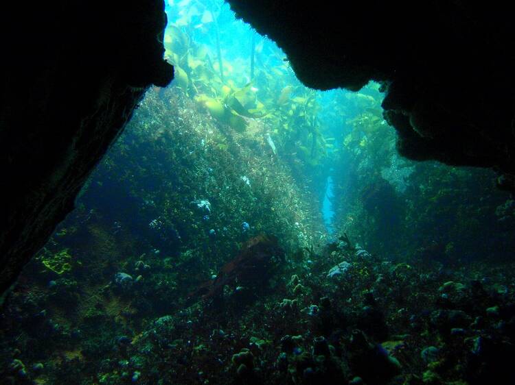 Justin’s Caves
