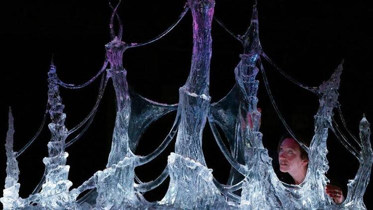 The amazing art installations