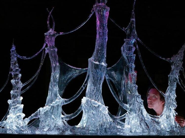 The amazing art installations