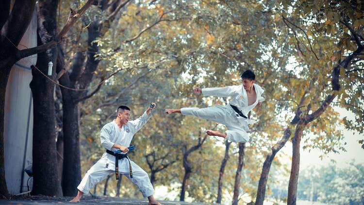 Kung Fu