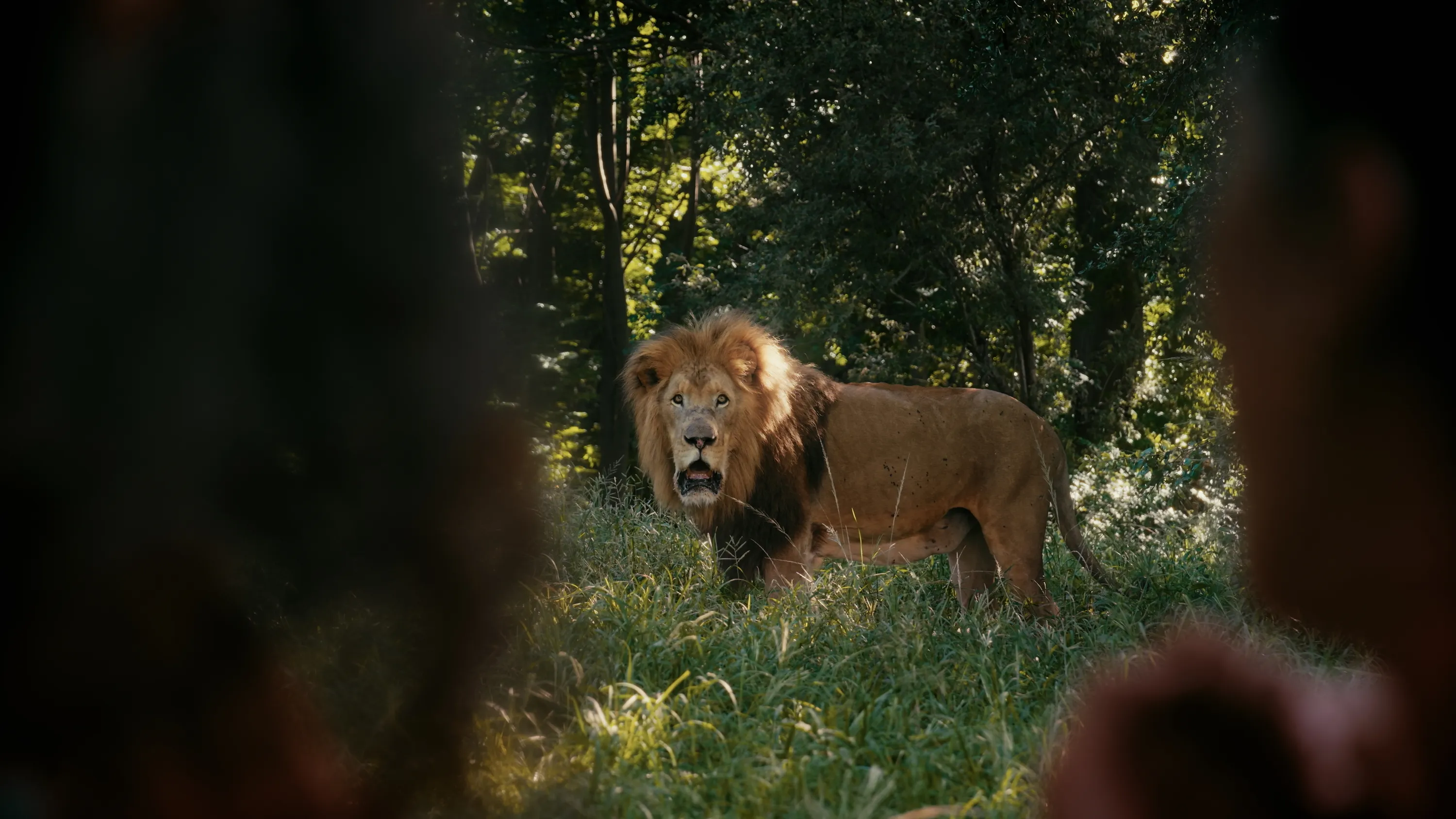 Will Khaki Fever bring the screen tourism effect?