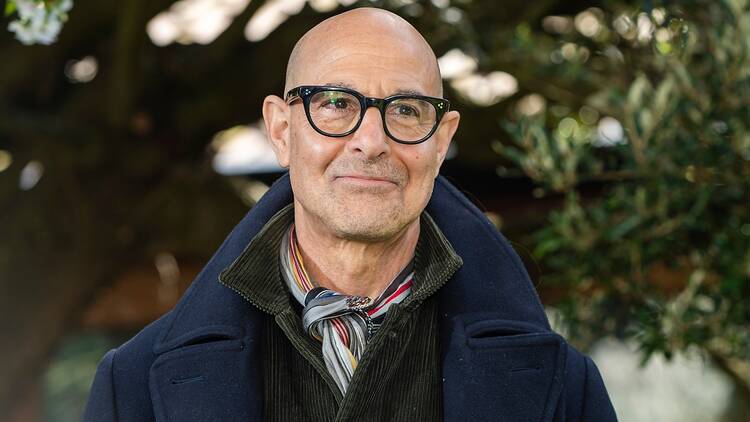 Bald icon Stanley Tucci