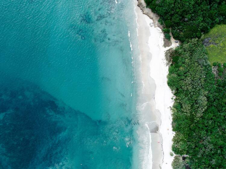 5 playas de Nayarit que debes conocer este año