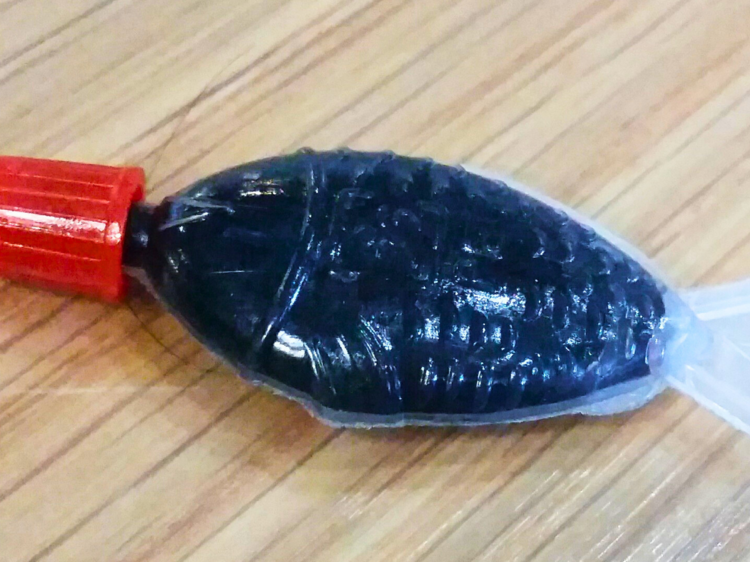 Soy what!? This Australian state has become the first to ban soy sauce fish