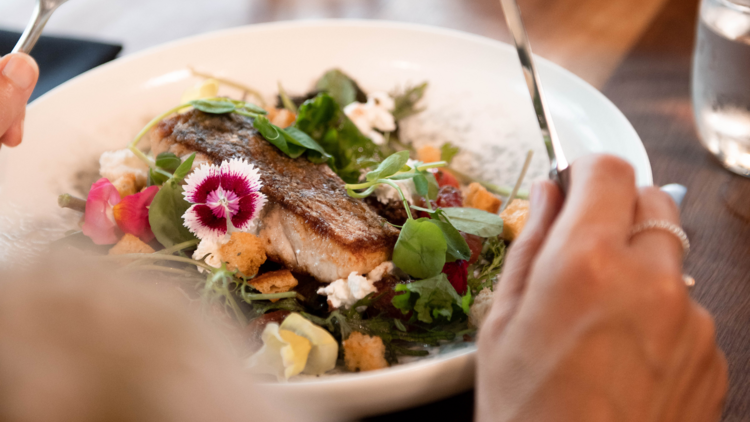 Bowl with fish and salad