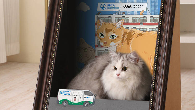 SPCA SumMEOW Festival