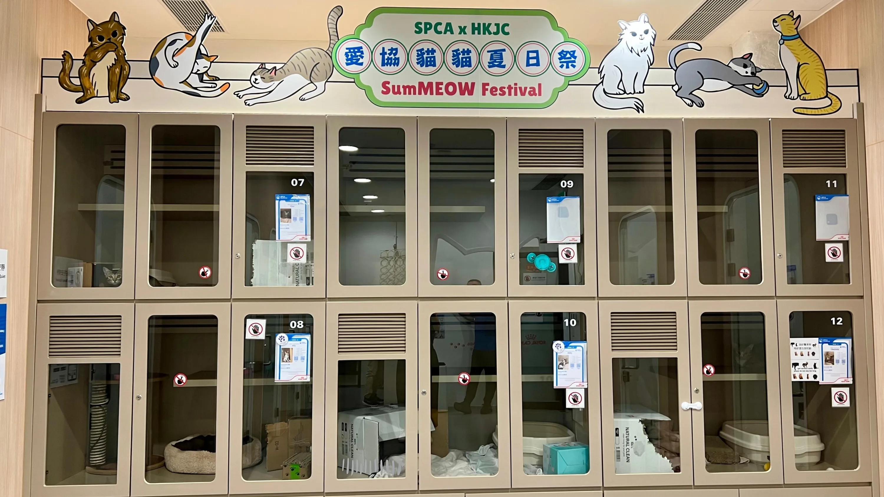 SPCA SumMEOW Festival