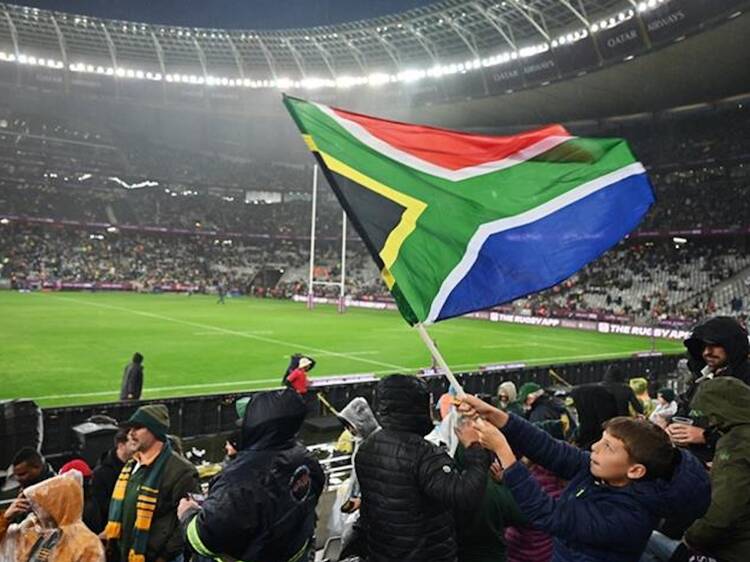 Game Day Guide: Springboks vs Wallabies