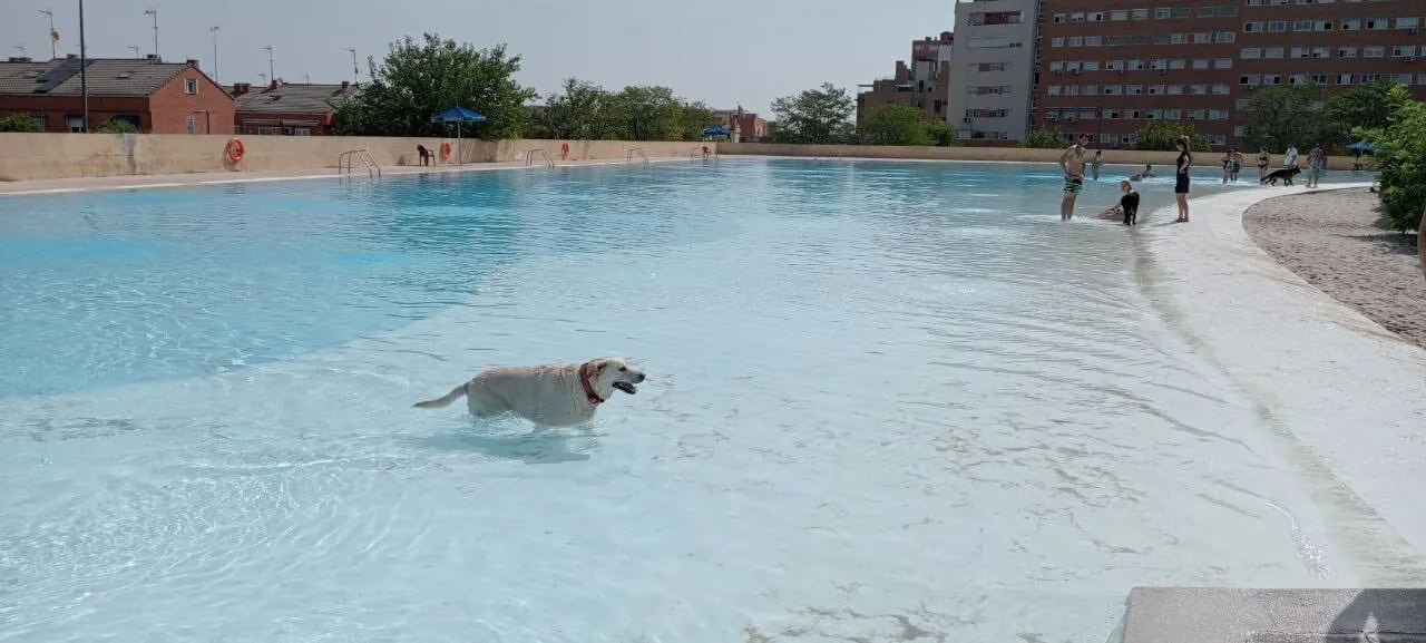 Piscina de agua salada de Parla