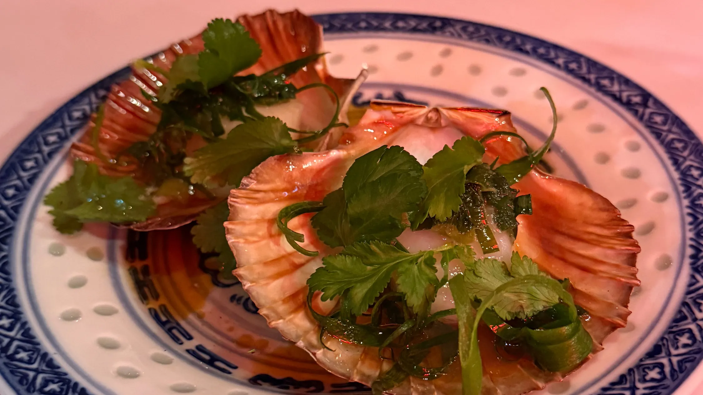 Scallops at Young's Palace