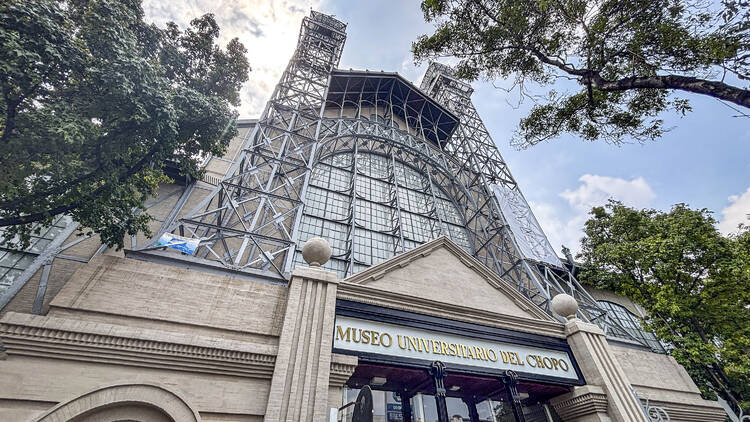 Era un árbol y se convirtió en un bosque Museo Universitario del Chopo