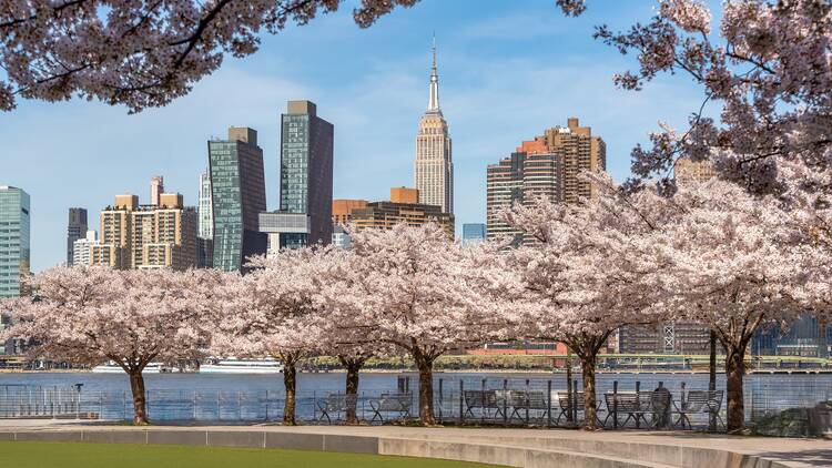 Spring in Long Island City