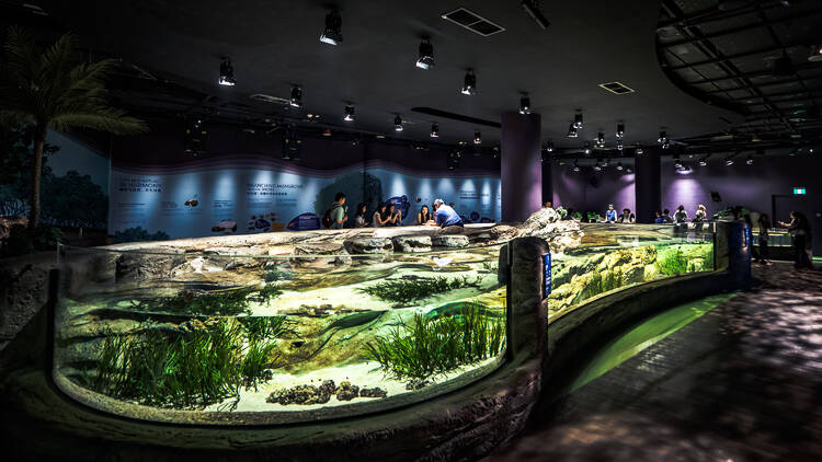 Singapore Oceanarium