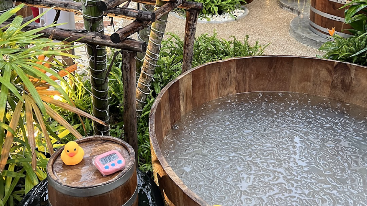 Ice House - Ice Bath & Sauna