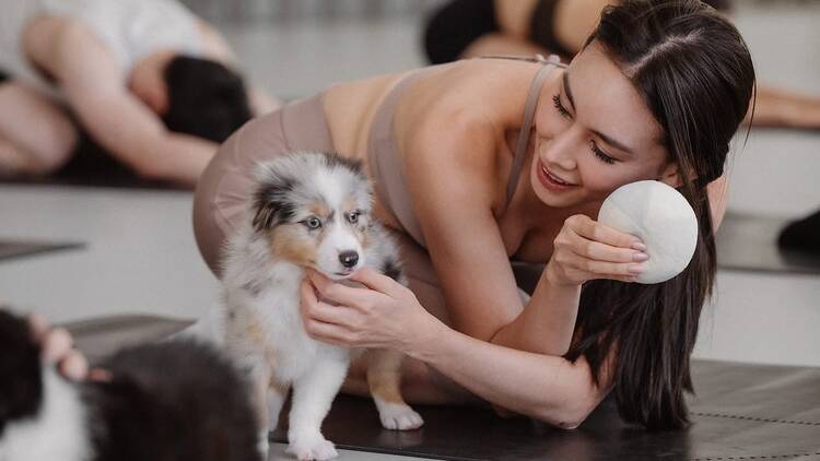 Puppy Yoga BKK
