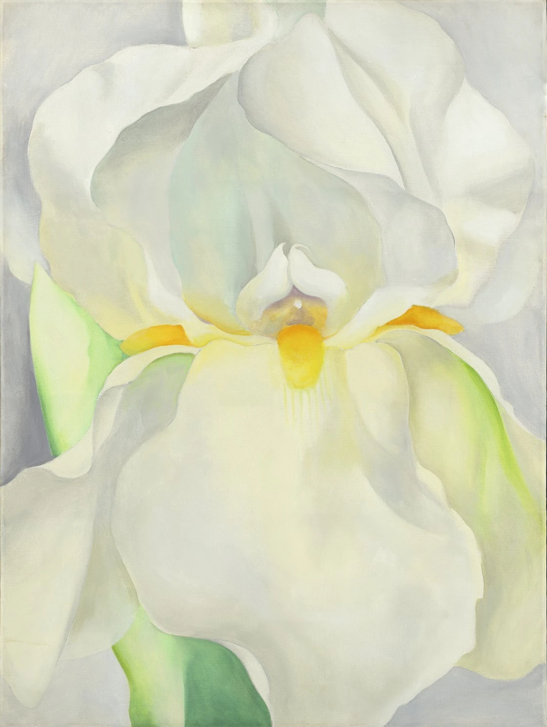'Lirio blanco n.&ordm; 7', de Georgia O'Keeffe.