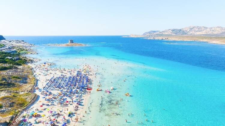 La Pelosa Beach in Sardinia, Italy, with lots of people and parasols