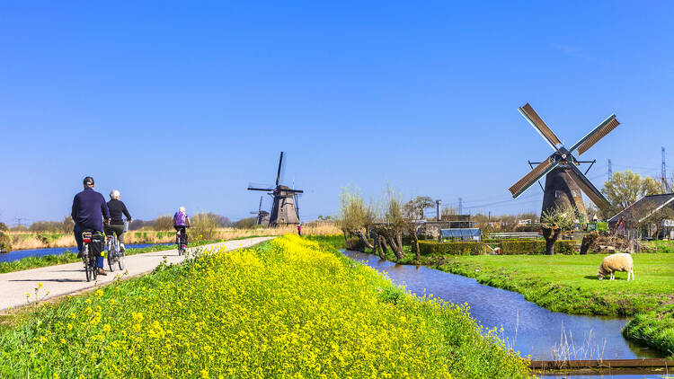 Kinderjijk Windmill Route, The Netherlands