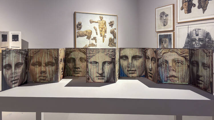 La imagen interceptada de Carla Rippey  Museo Universitario del Chopo