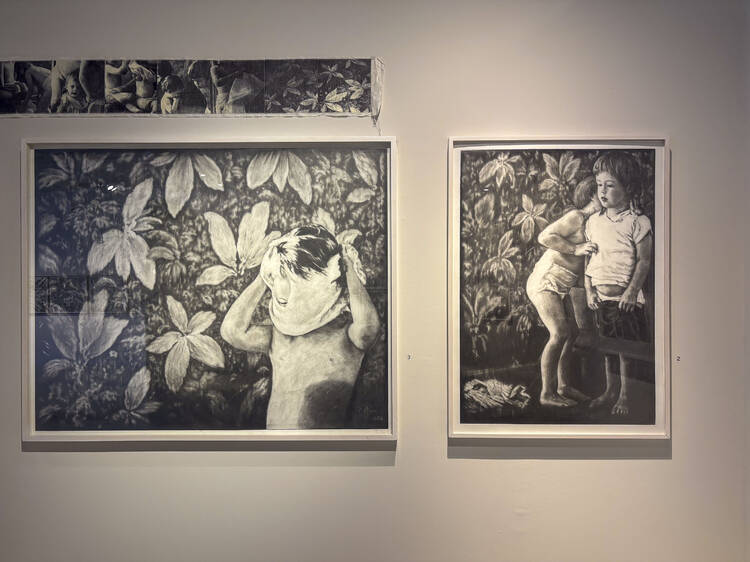 Carla Rippey: La imagen interceptada