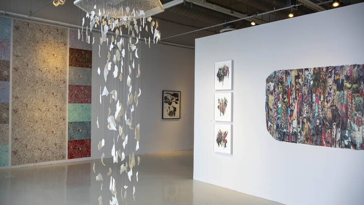 La imagen interceptada de Carla Rippey  Museo Universitario del Chopo
