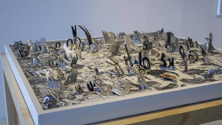 La imagen interceptada de Carla Rippey  Museo Universitario del Chopo