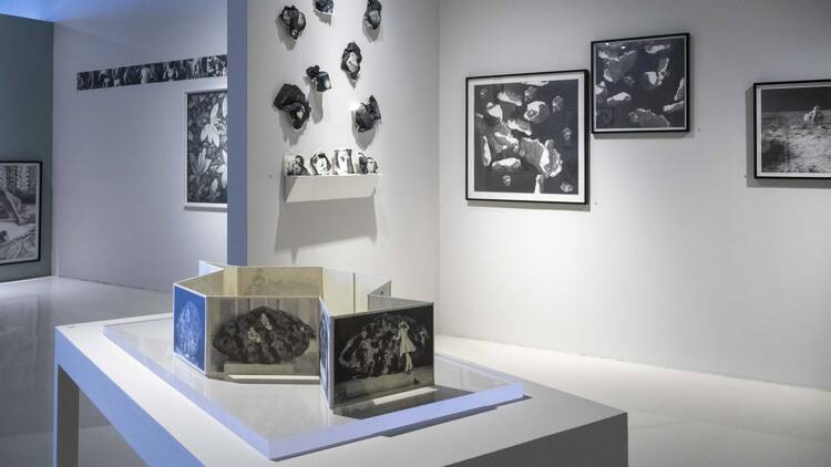 La imagen interceptada de Carla Rippey  Museo Universitario del Chopo