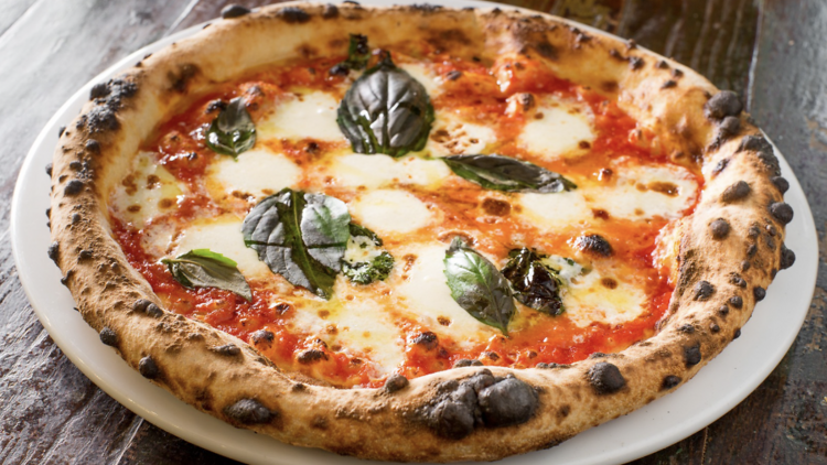 A classic Neapolitan-style Margherita pizza with fresh mozzarella, tomato sauce, and basil leaves on a blistered crust.