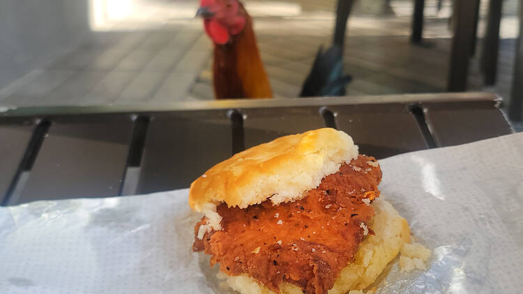 Spicy Chicken Biscuit