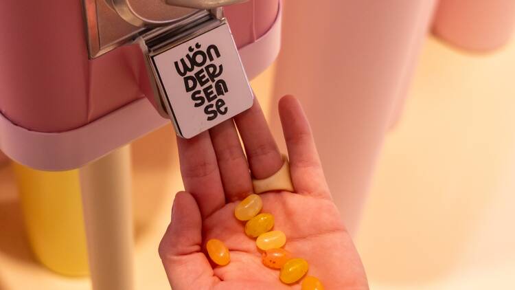 Wondersense
