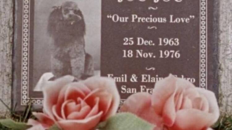 a gravestone with a dog on it a gravestone with a dog on it
